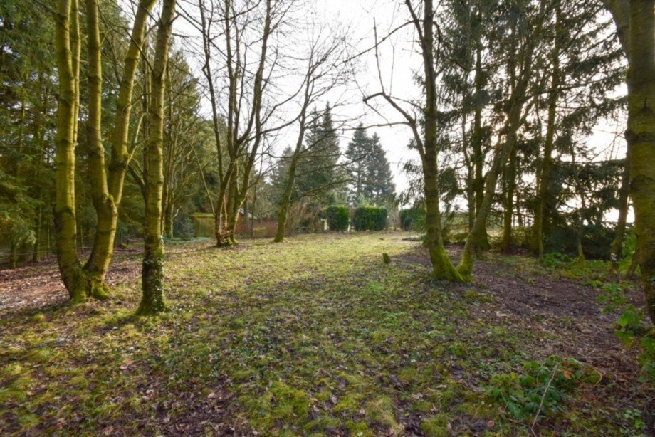 Alter Baumbestand Freizeitgrundst�ck Taunusstein Orlen