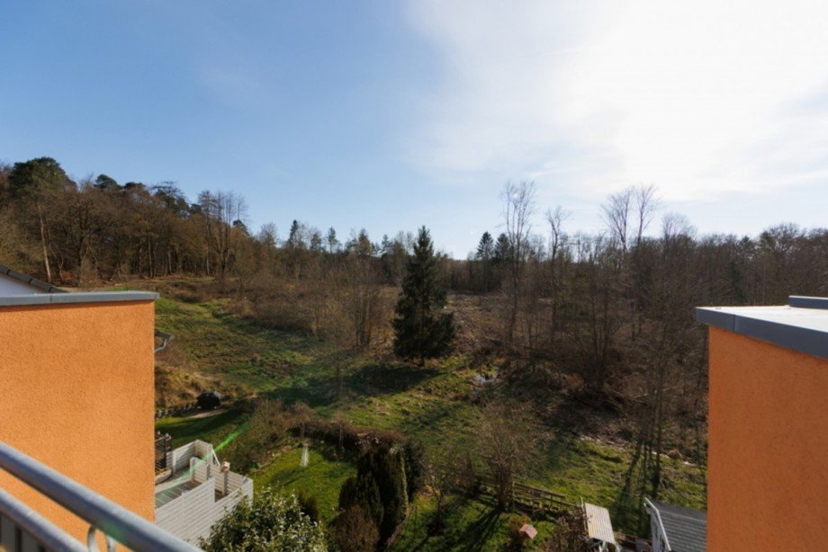 ...mit Blick ins Gr�ne Reiheneckhaus Taunusstein / Wehen