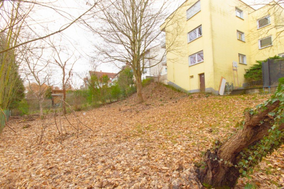 Viel Gr�n! Terrassenwohnung Mainz