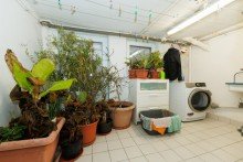 Waschkeller mit Gartenzugang Zeppelinheim: Traumgrundst�ck, Traumhaus!
