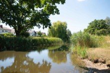 Horlachgraben nur 100m entfernt Rohdiamant in Traumlage mit viel Platz f�r die ganze Familie