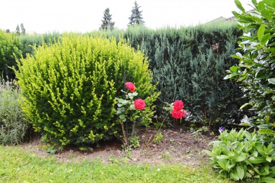 Garten 6 Reiheneckhaus Taunusstein