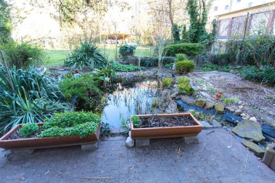 Kleiner Teich Etagenwohnung Wiesbaden