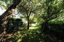 Wundersch�ner Obstbaumbestand Wohnen mit Herz: Modernisiertes Familienidyll mit Obstgarten und Platz f�r mehrere Generationen