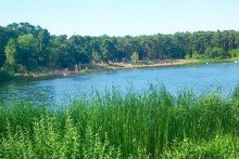 Waldsee - nur 300m Rohdiamant in Traumlage mit viel Platz f�r die ganze Familie