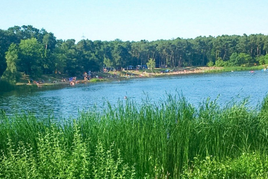 Waldsee - nur 300m Mehrfamilienhaus R�sselsheim