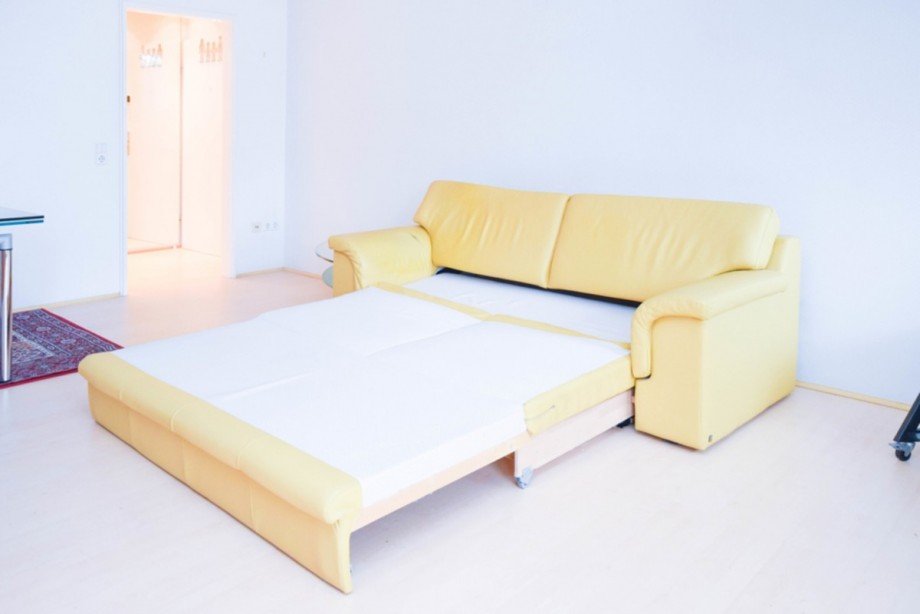 Hochwertiges Leder-Schlafsofa Etagenwohnung Wiesbaden / Nordost