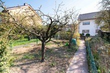 Apfelbaum Sonniges Reihenhaus zum Selbstverwirklichen
