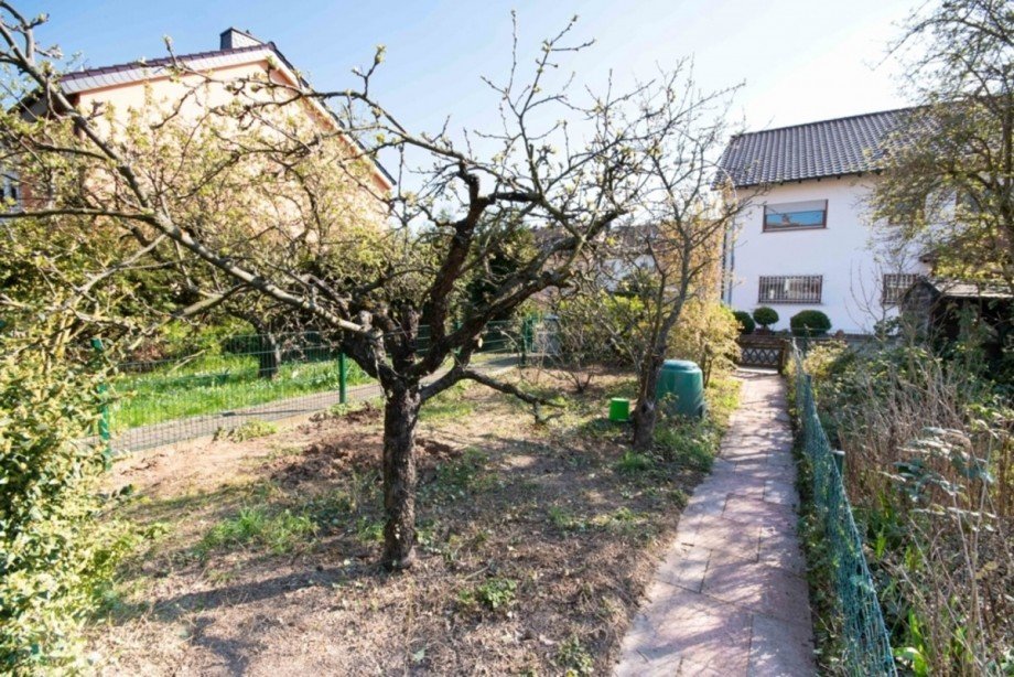 Apfelbaum Reihenmittelhaus Fl�rsheim am Main