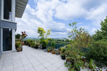 Penthouse Maisonette Wohnen �ber den Weinbergen - Penthouse mit gro�er Dachterrasse