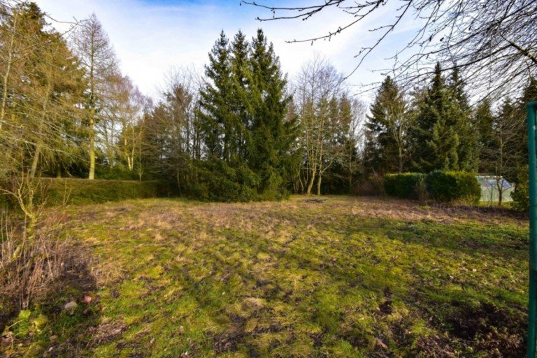 Viel Platz zum g�rtnern und entspannen Taunusstein Orlen Freizeitgrundst�ck Sonniges Freizeitgrundst�ck am S�dhang von Taunusstein Orlen