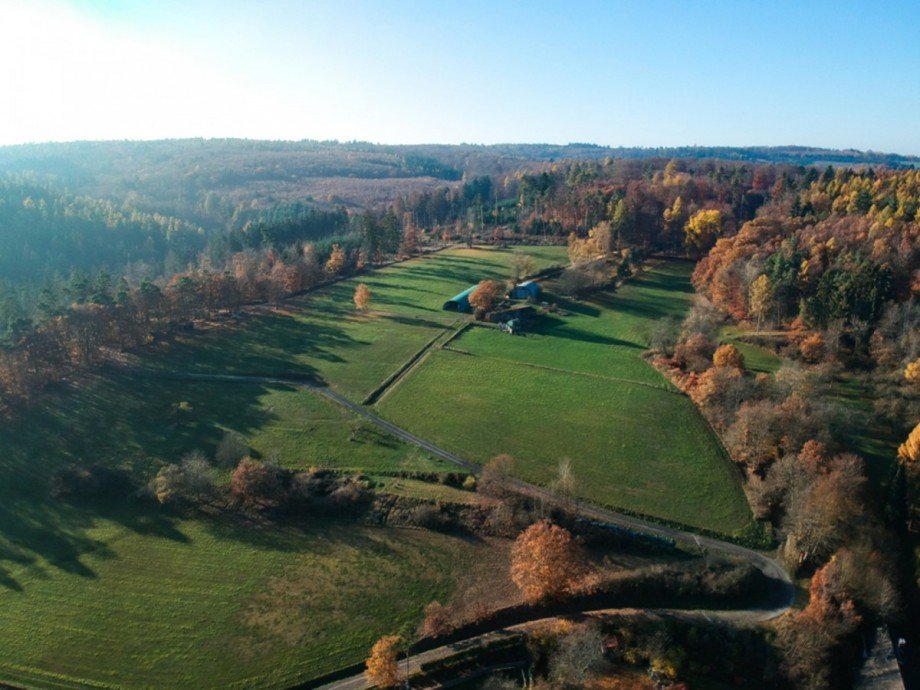 Hinter dem Haus beginnt die Natur Einfamilienhaus Idstein