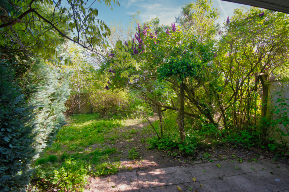 Garten mit Potential Reihenhaus Taunusstein